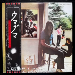Pink Floyd - Ummagumma