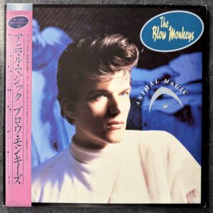 The Blow Monkeys – Animal Magic