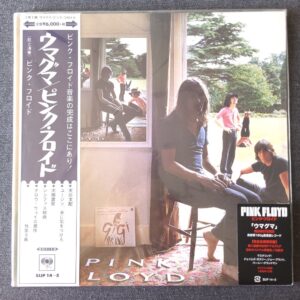 Pink Floyd – Ummagumma